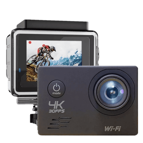 cat cameras 1