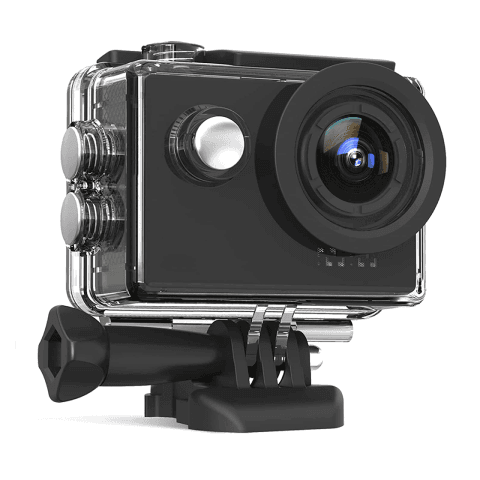 cat cameras 3