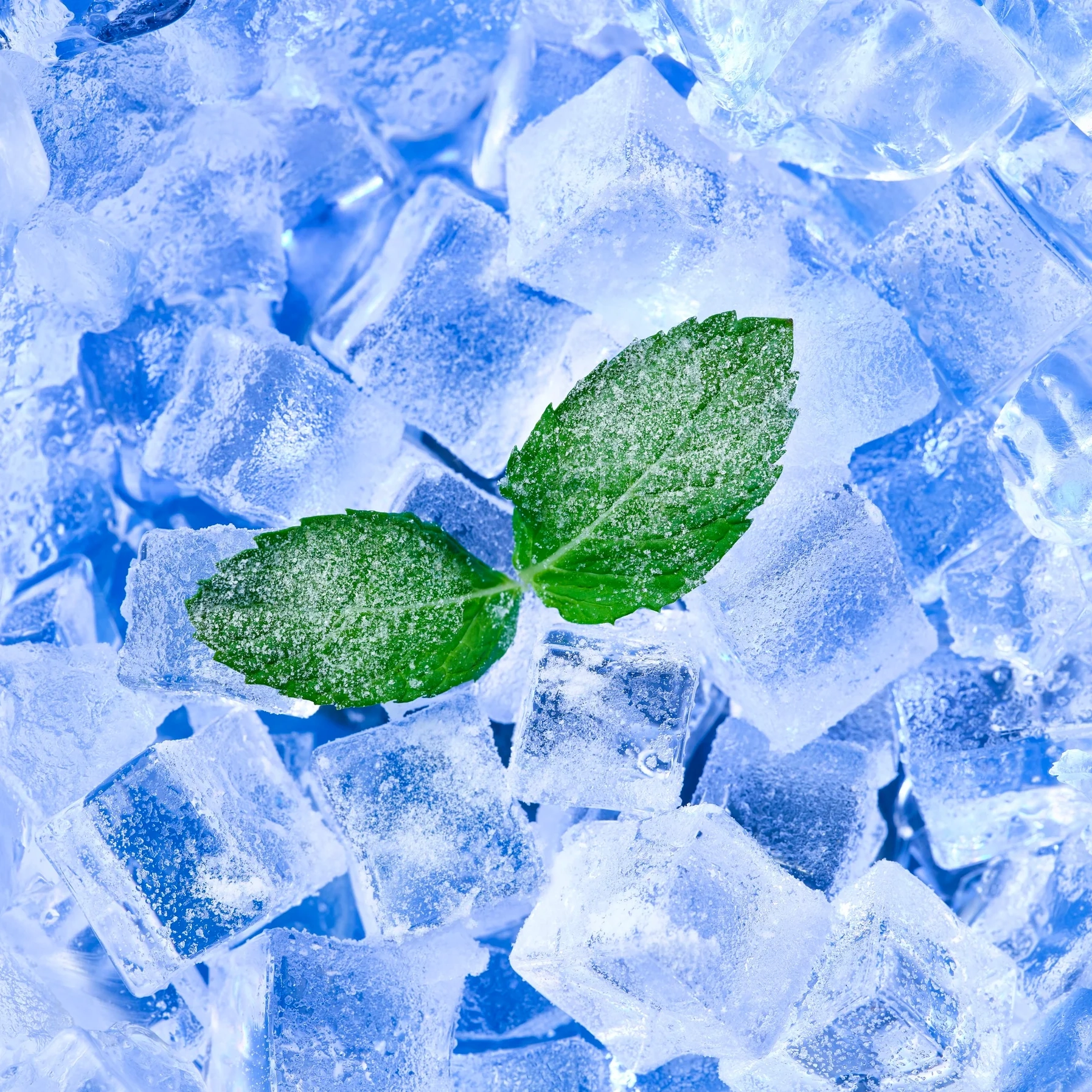IcyMint2
