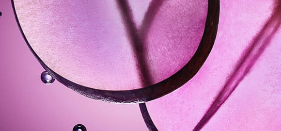 tanggy homebanner